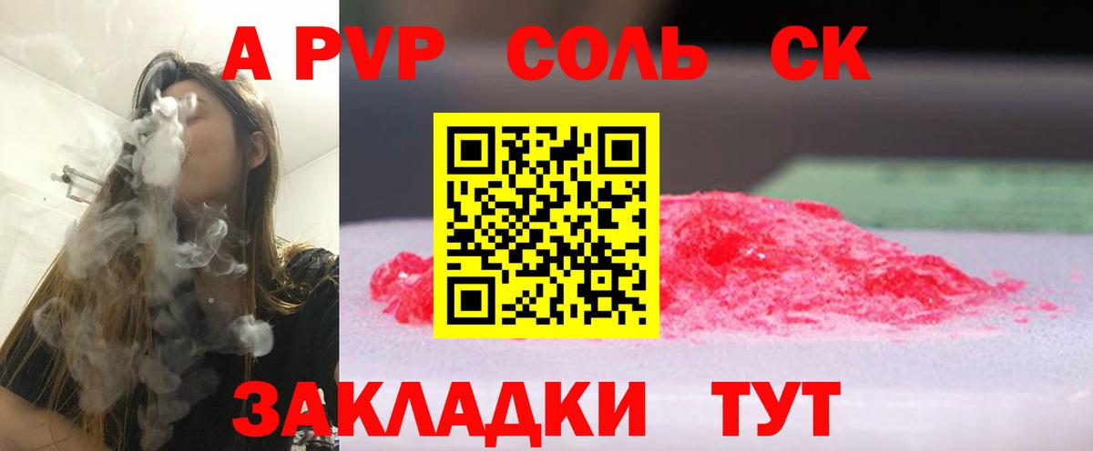 Курчалой  Альфа ПВП VHQ  Вход с VPN  А ПВП VHQ 