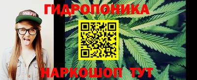 гидропоника Канаш