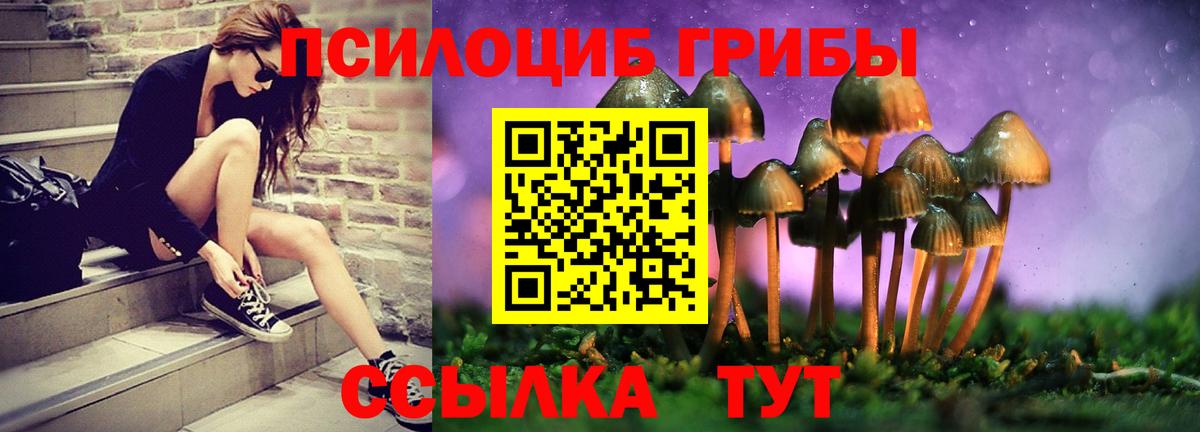 Курчалой  Галлюциногенные грибы мицелий  Вход с VPN 